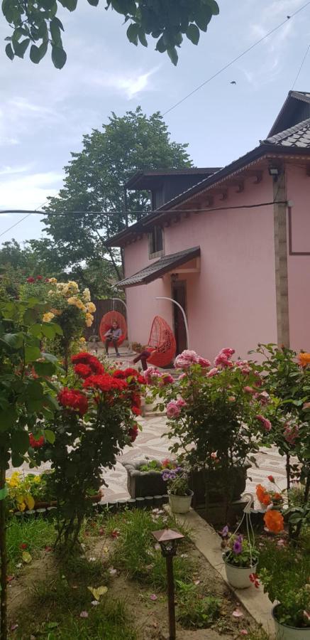 Pensiunea Happy Flowers Greci Екстериор снимка