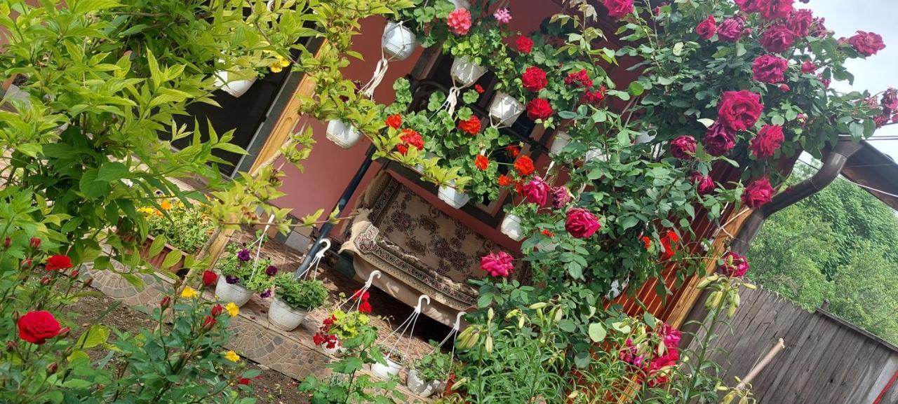 Pensiunea Happy Flowers Greci Екстериор снимка