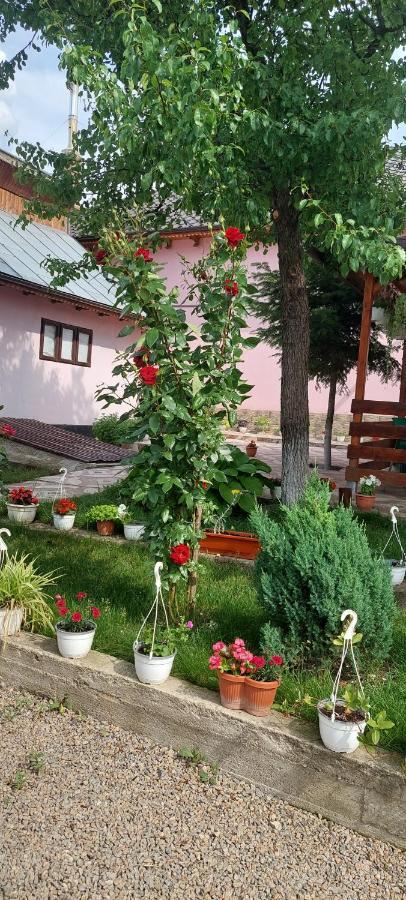 Pensiunea Happy Flowers Greci Екстериор снимка