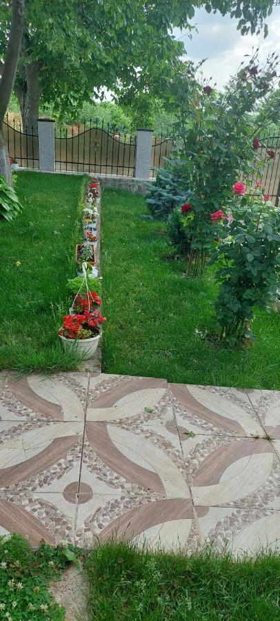 Pensiunea Happy Flowers Greci Екстериор снимка