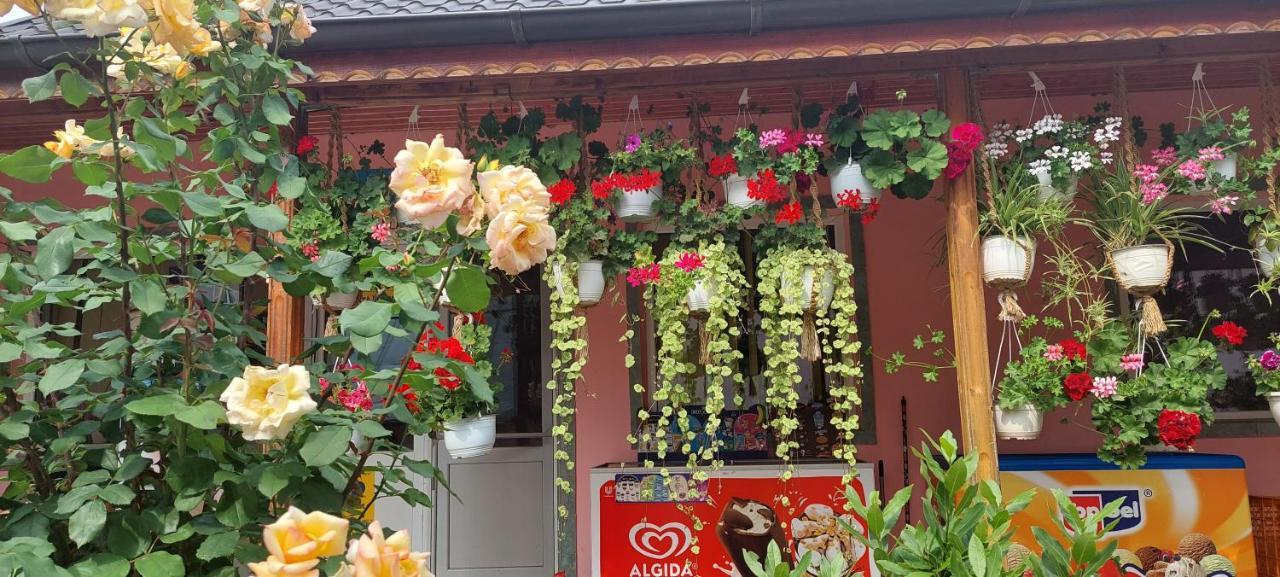 Pensiunea Happy Flowers Greci Екстериор снимка