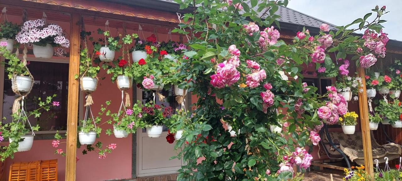 Pensiunea Happy Flowers Greci Екстериор снимка