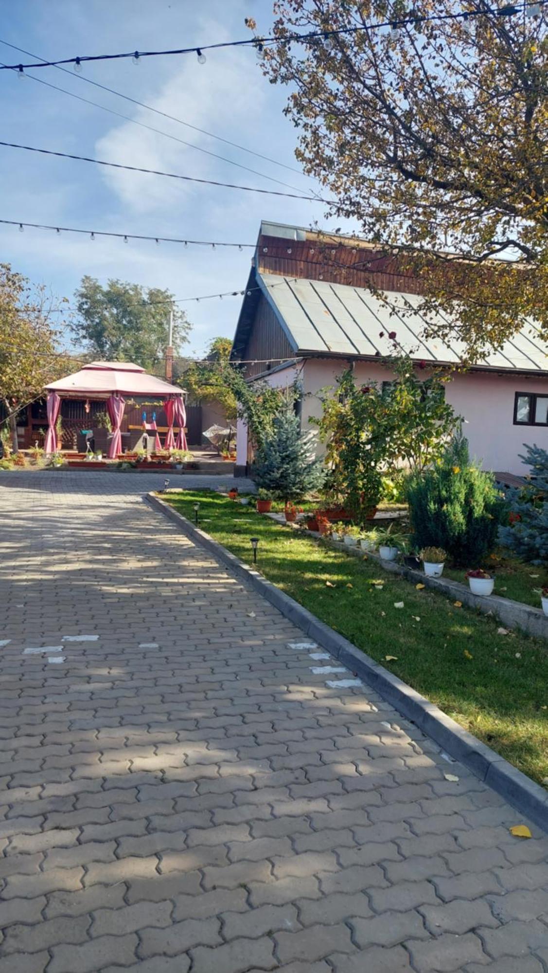 Pensiunea Happy Flowers Greci Екстериор снимка